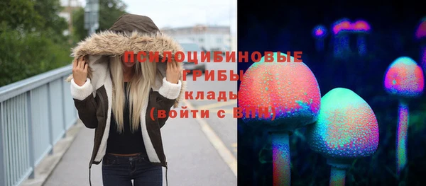 прущая мука Армянск