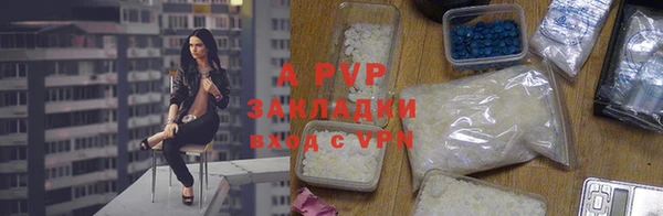 PSILOCYBIN Аркадак