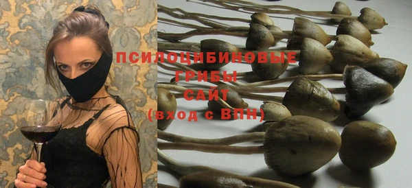 прущая мука Армянск