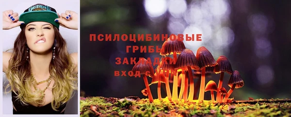 прущий лед Арсеньев