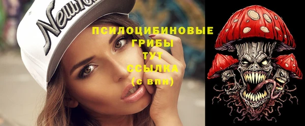 PSILOCYBIN Аркадак